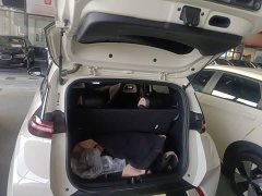 BYD Seagull Glory Edition 305km Vitality Version - ფოტო 19