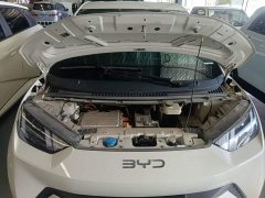 BYD Seagull Glory Edition 305km Vitality Version - ფოტო 20