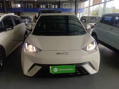 BYD Seagull Glory Edition 305km Vitality Version - ფოტო 3