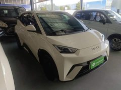 BYD Seagull Glory Edition 305km Vitality Version - ფოტო 4