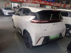 BYD Seagull Glory Edition 305km Vitality Version - ფოტო 5