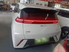 BYD Seagull Glory Edition 305km Vitality Version - ფოტო 6