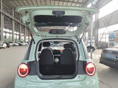 Changan Lumin 205km Xiangqin Edition - ფოტო 19
