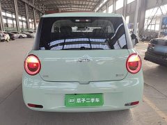 Changan Lumin 205km Xiangqin Edition - ფოტო 6