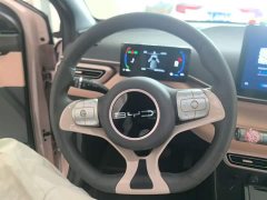 BYD Seagull Vitality Edition - ფოტო 11