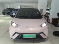 BYD Seagull Vitality Edition - ფოტო 3