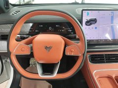 Neta L 2024 Extended Range 310 Fast Charge Red Edition - ფოტო 6