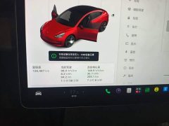 Tesla Model 3 Facelift Standard Range RWD Upgrade 3D1 - ფოტო 12