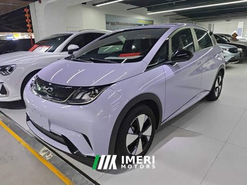 2023 BYD Dolphin 420km Freedom Edition - ავტომობილი ჩინეთიდან