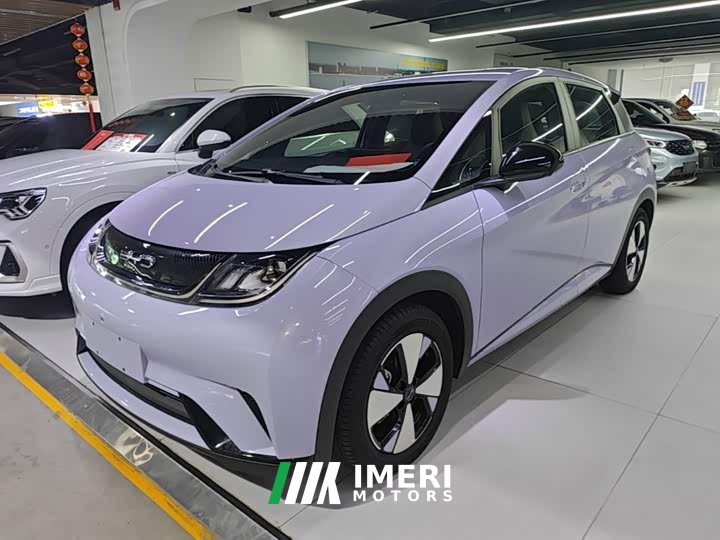 BYD Dolphin 420km Freedom Edition