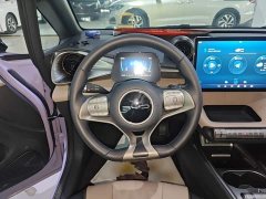 BYD Dolphin 420km Freedom Edition - ფოტო 11