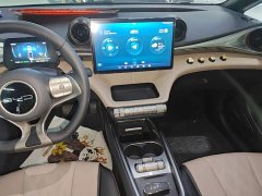 BYD Dolphin 420km Freedom Edition - ფოტო 13