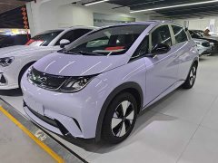 BYD Dolphin 420km Freedom Edition - ფოტო 2