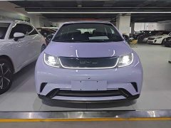 BYD Dolphin 420km Freedom Edition - ფოტო 3
