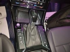 Volkswagen Passat 330TSI Starry Sky Elite - ფოტო 14