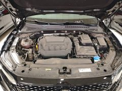 Volkswagen Passat 330TSI Starry Sky Elite - ფოტო 20