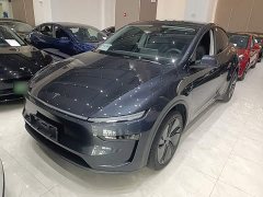 Tesla Model Y Rear-Wheel Drive Launch Edition - ფოტო 2