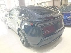 Tesla Model Y Rear-Wheel Drive Launch Edition - ფოტო 5