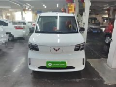 Wuling Zhiguang New Energy 201km Comfort - ფოტო 3