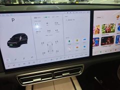 Li Auto L6 Pro - ფოტო 13