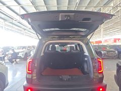 Great Wall Dachshund 1.5T DCT Two-Wheel Drive Labrador Edition - ფოტო 19