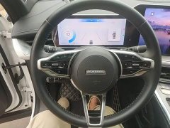 Haval Shenshou 1.5T Smart Enjoy DHT - ფოტო 11