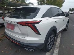 Haval Shenshou 1.5T Smart Enjoy DHT - ფოტო 7