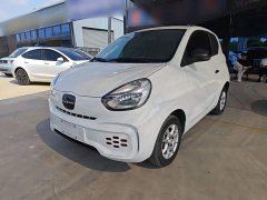 SAIC Clever 311km Vitality Pop Edition - ფოტო 1