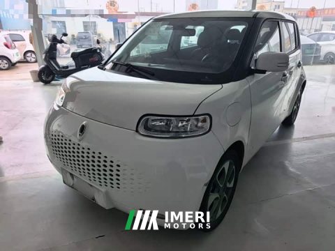 2021 ORA White Cat 2020 305km Luxury - ავტომობილი ჩინეთიდან