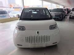 ORA White Cat 2020 305km Luxury - ფოტო 3