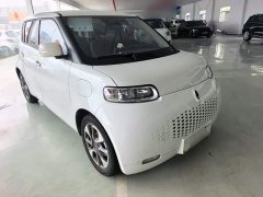 ORA White Cat 2020 305km Luxury - ფოტო 4