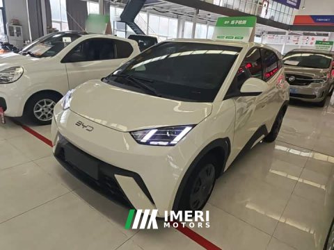 2024 BYD Seagull Glory Edition 305km Vitality Version - ავტომობილი ჩინეთიდან