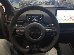 BYD Seagull Glory Edition 305km Vitality Version - ფოტო 11