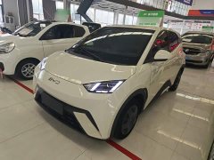 BYD Seagull Glory Edition 305km Vitality Version - ფოტო 2