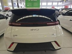 BYD Seagull Glory Edition 305km Vitality Version - ფოტო 6