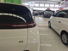 BYD Seagull Glory Edition 305km Vitality Version - ფოტო 8