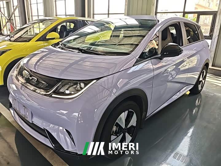 BYD Dolphin 420km Freedom Edition