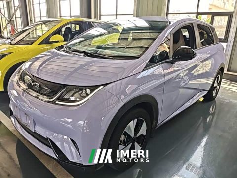 2023 BYD Dolphin 420km Freedom Edition - ავტომობილი ჩინეთიდან
