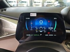 BYD Dolphin 420km Freedom Edition - ფოტო 12
