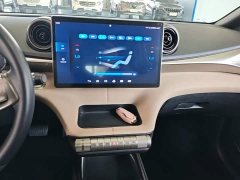 BYD Dolphin 420km Freedom Edition - ფოტო 13