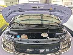 BYD Dolphin 420km Freedom Edition - ფოტო 20