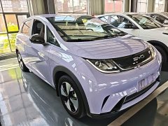 BYD Dolphin 420km Freedom Edition - ფოტო 4