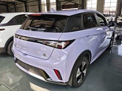 BYD Dolphin 420km Freedom Edition - ფოტო 7