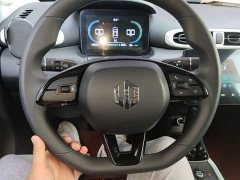 Leapmotor T03 310 Comfort Edition - ფოტო 7