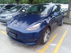 Tesla Model Y Long Range All-Wheel Drive 3D7 - ფოტო 1