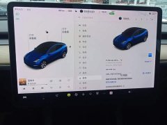 Tesla Model Y Long Range All-Wheel Drive 3D7 - ფოტო 12