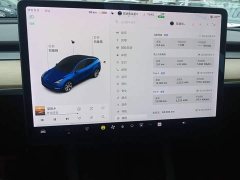 Tesla Model Y Long Range All-Wheel Drive 3D7 - ფოტო 13