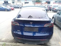 Tesla Model Y Long Range All-Wheel Drive 3D7 - ფოტო 6
