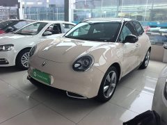 ORA Good Cat 400km Standard Range Luxury Lithium Iron Phosphate - ფოტო 1