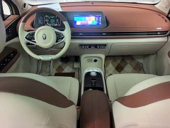 ORA Good Cat 400km Standard Range Luxury Lithium Iron Phosphate - ფოტო 10